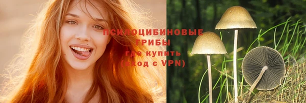ПСИЛОЦИБИНОВЫЕ ГРИБЫ Сафоново