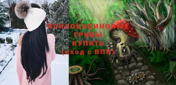 прущие крисы Арсеньев