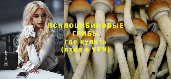 прущие крисы Арсеньев
