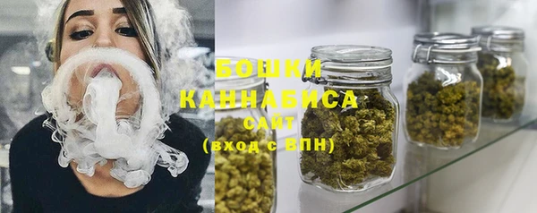 прущие крисы Арсеньев