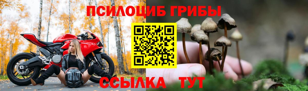 Новодвинск  магазин    Вход с VPN  Галлюциногенные грибы мицелий  Галлюциногенные грибы MAGIC MUSHROOMS 