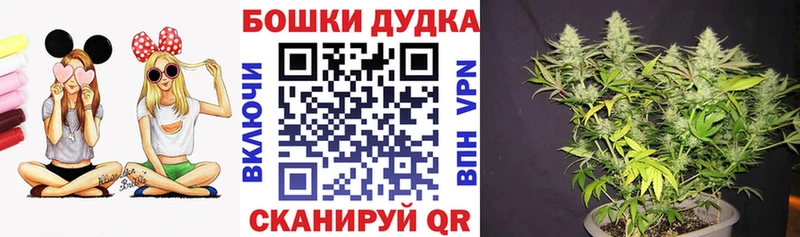 Каннабис THC 21%  купить наркоту  Новодвинск 